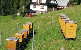 Agroturystyka Anna
